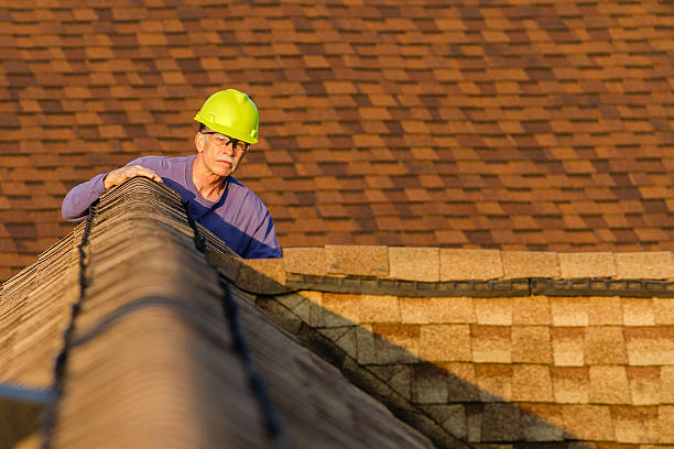 Best Roof Repair Services  in Waverly, IL
